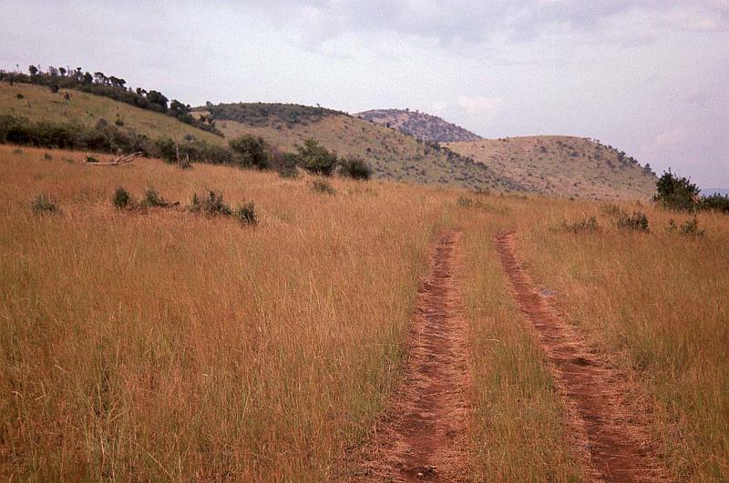 WT 1400 202-31 Kenya.jpg